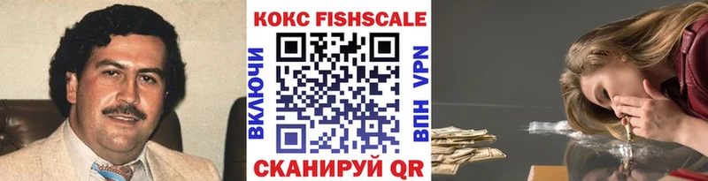 Cocaine Fish Scale  кракен вход  Велиж  цена наркотик 