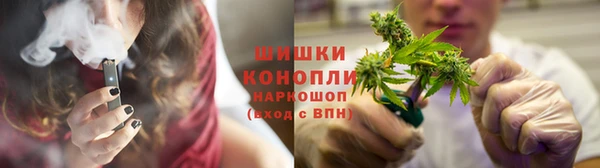 ешки Белокуриха