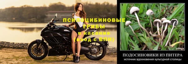 ешки Белокуриха