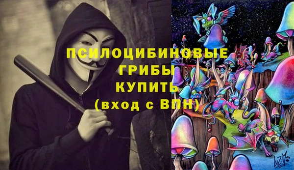 крисы Беломорск